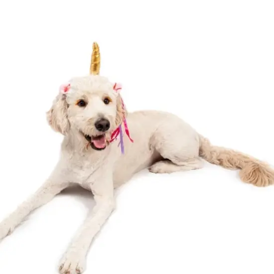Midlee Dog Unicorn Horn Headband Halloween Costume image {3}
