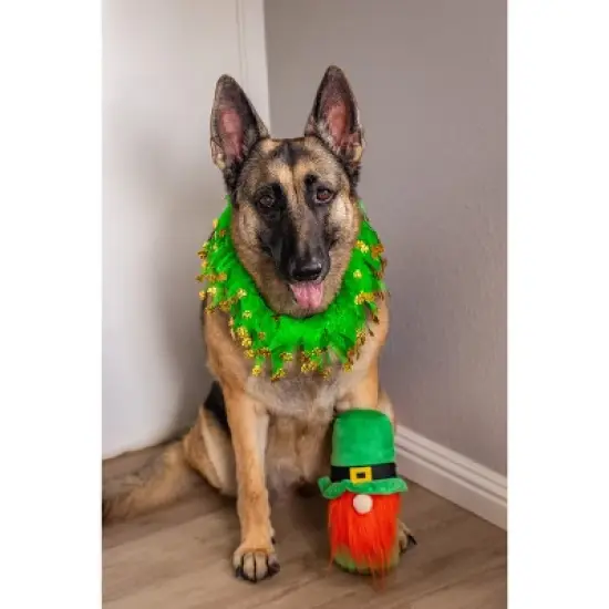 St. Patrick's Day Hide a Ball Gnome Dog Toy image {2}