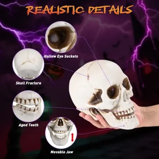 Yescom Yesocm 4 Pcs Life Size Skeleton Skull Halloween Realistic Human Model Moving Jaw Outdoor Indoor Decorations image {1}