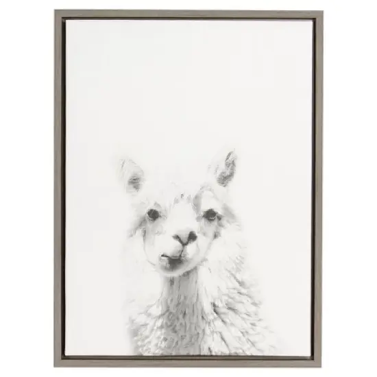 24" x 18" Alpaca Framed Canvas Art - Uniek image {3}