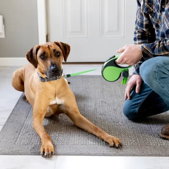 Mighty Paw Retractable Leash + Poop Bag Holder | 16ft for Dogs 0-50 or 50-100 lbs image {3}