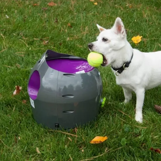PetSafe Automatic Ball Launcher - Gray image {6}