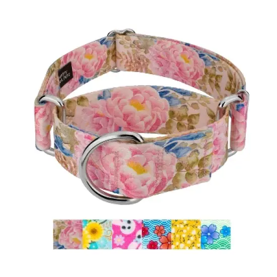 Country Brook Petz HossFit Jr Wide Martingale Dog Collar - Spring Collection image {8}