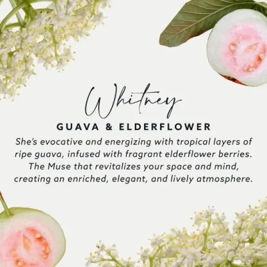 Maison&Muse 2pk Car Air Fresheners Guava and Elderflower Vent Clips image {5}