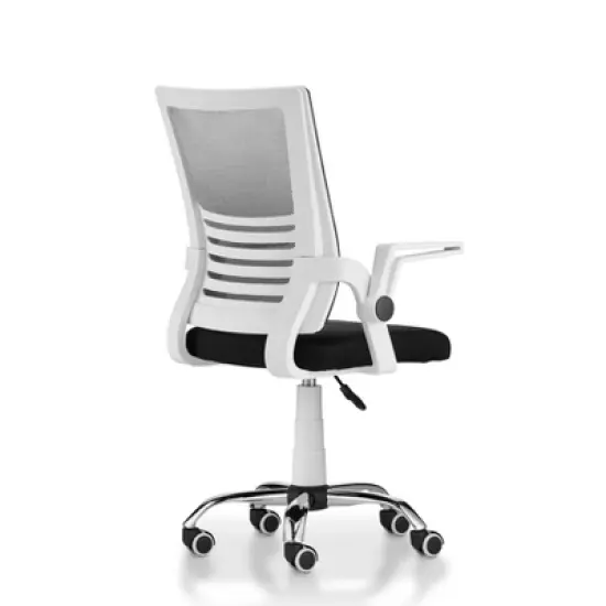 Erwin Cushioned Mesh Office Chair White - miBasics image {2}