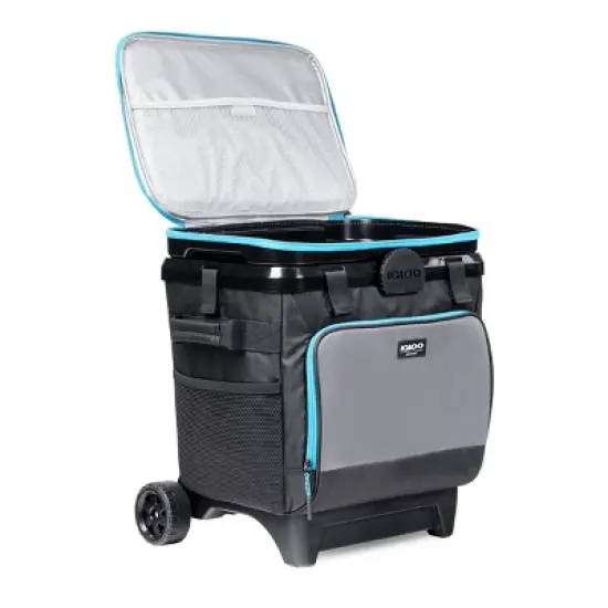 Igloo MaxCold Evergreen Cool Fusion 28qt Cooler image {16}