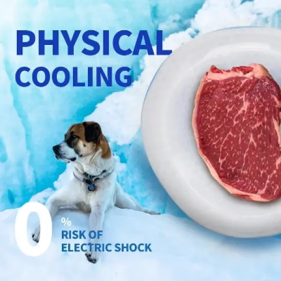 Allforpaws Dog Cooler Bowl, Keeps Water & Food Cool and Fresh for Hours, BPA Free image {1}