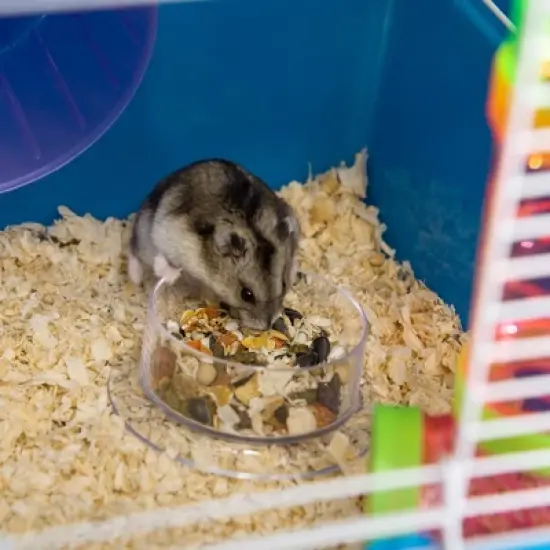 PawHut Extra Large 23" Hamster Cage with Tubes Tunnels Portable Carry Handles, Rat House and Habitats 5-Tier with Wheel Water Bottle Food Dish image {5}