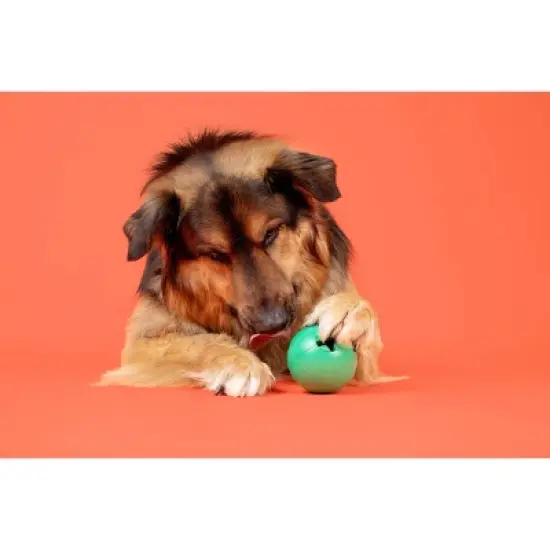 Bullymake Toss and Treat Globe Blueberry Flavor Dog Interactive Toy image {2}