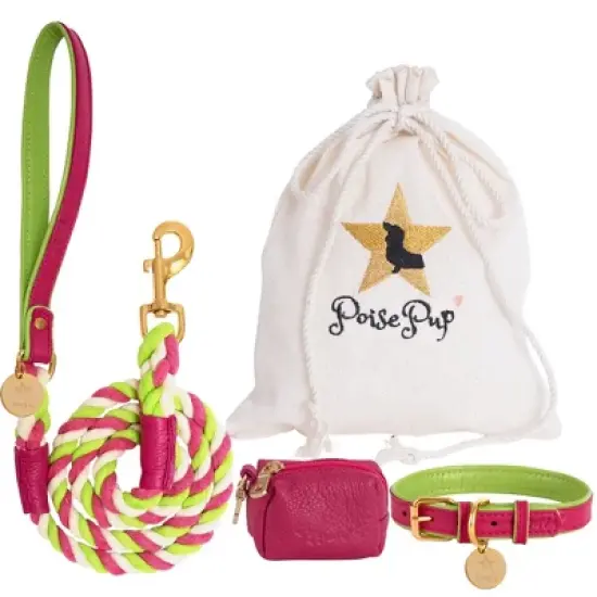 PoisePup - Luxury Pet Dog Leash - Soft Premium Italian Leather and 100% Natural Cotton Rope Leash - Candy Swirl image {1}