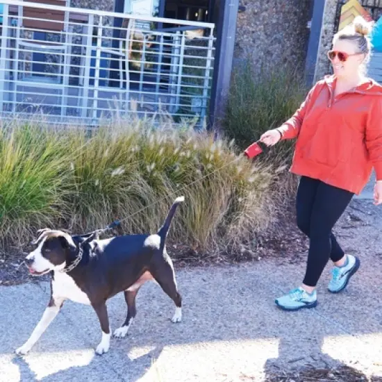 Nite Ize RadDog Retractable Pocket Leash - Red - Large image {6}