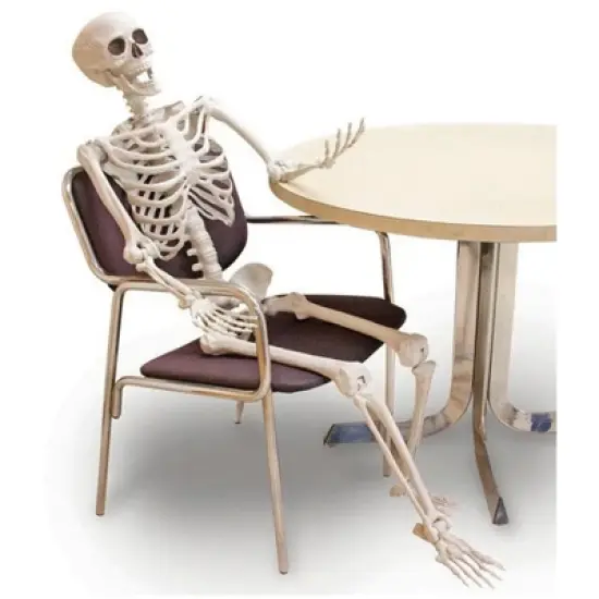 Forum Novelties 5' Posable Skeleton Party Decoration image {5}