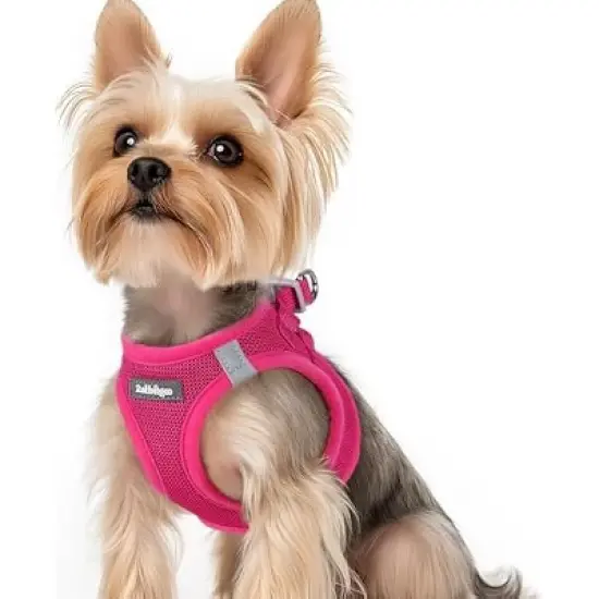rabbitgoo Tactical Dog Harness image {9}