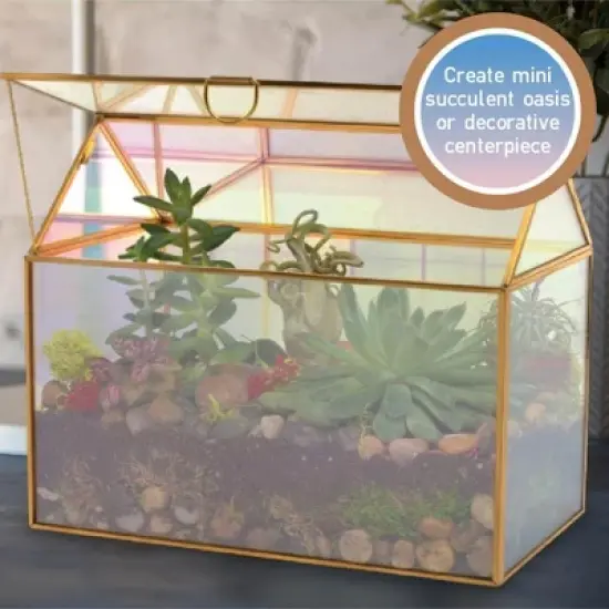 D'Eco Iridescent Glass House Planter Terrarium (10x6x8)- Tabletop Gold Geometric Terrarium - Home, Garden, Office Decor - Gift for Plant Lovers image {2}