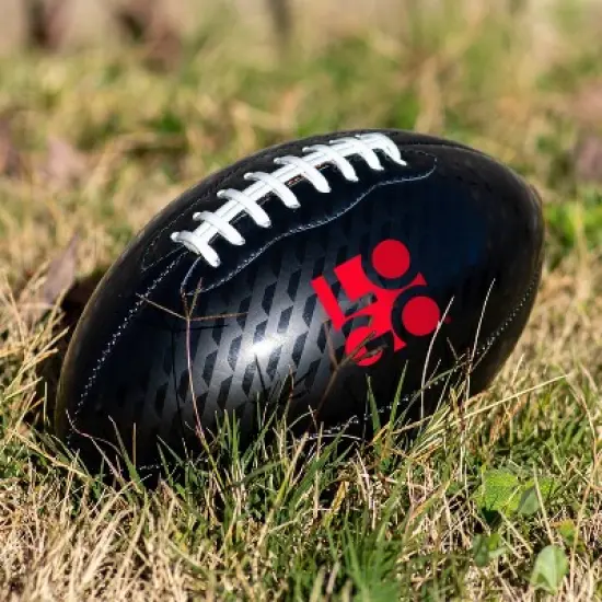 NCAA San Diego State Aztecs Mini-Size Glossy Football image {2}