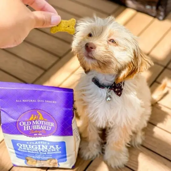 Old Mother Hubbard by Wellness Classic Crunchy Original Assortment Biscuits Small Oven Baked with Carrot, Apple, Cheese and Chicken Flavor Dog Treats image {5}