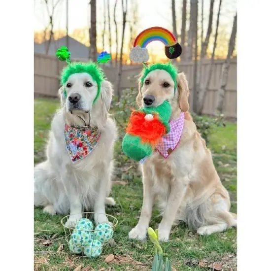 St. Patrick's Day Hide a Ball Gnome Dog Toy image {4}