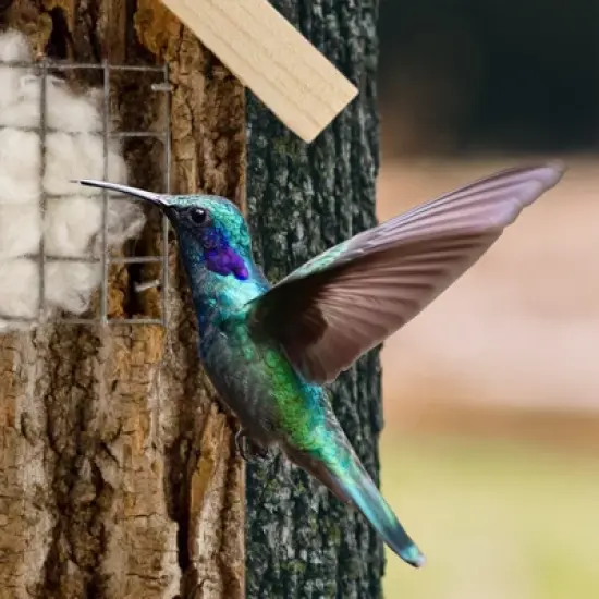 Uncle Dunkels Backyard Hummingbird Nester; Rustic Handmade Hummingbird Nest Builder image {5}