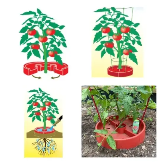 Tomato Crater Vegetable Garden Watering Tray &ndash; Directs Water to Roots, Warms Soil, Reduces Pests, Improves Growth, BPA-Free image {8}