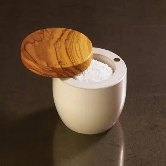 Berard France Olive Wood & Concrete Salt Keeper Box image {1}