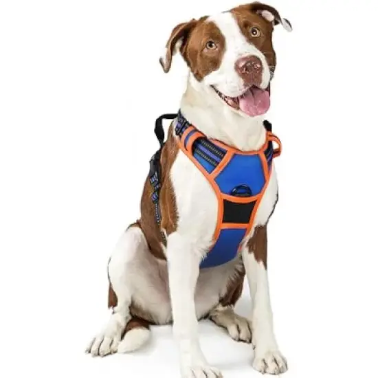 rabbitgoo Dog Harness No Pull with 2 Leash Clips, Control Handle for Large Dogs, Blue & Orange, L image {1}
