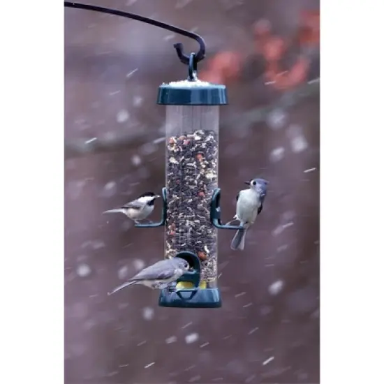 Brome Tube Solution 150 Wild Bird Feeder, 2.6-Pound Seed Capacity, Clear image {3}