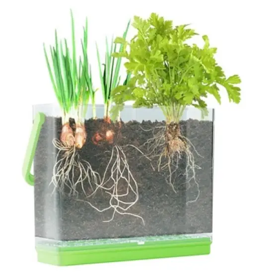 Dan&Darci Kids Root Viewer &ndash; Grow Your Own Vegetable Garden, Includes Seeds, Soil Discs, and Stickers, Educational Gift for Kids&ndash; Ages 6+ image {1}