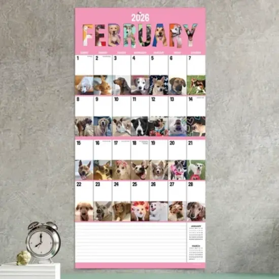 TF Publishing 13.5"x14.5" 2026 Dog-A-Day Wall Calendar image {2}