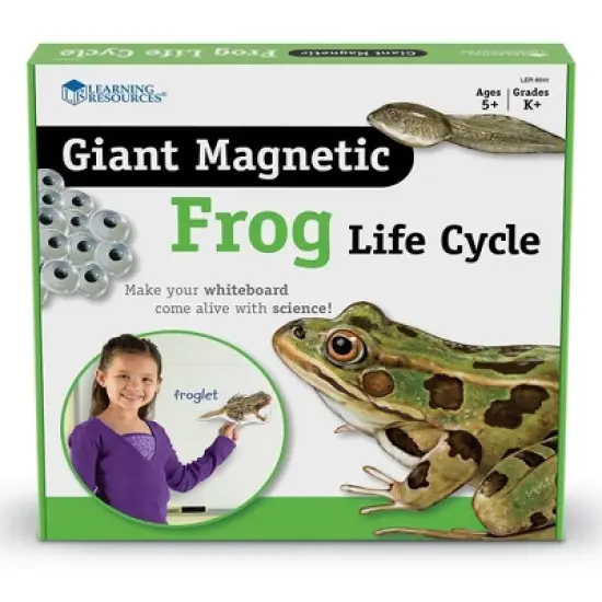 Learning Resources Giant Magnetic Frog Life Cycle, Ages 5+ image {2}