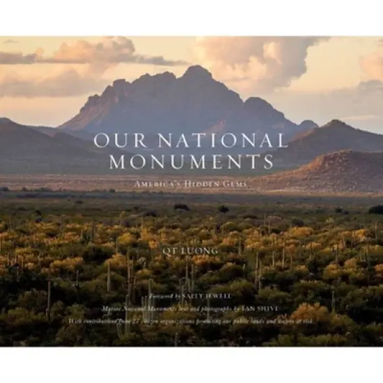 Our National Monuments - by  Qt Luong (Hardcover) image {1}