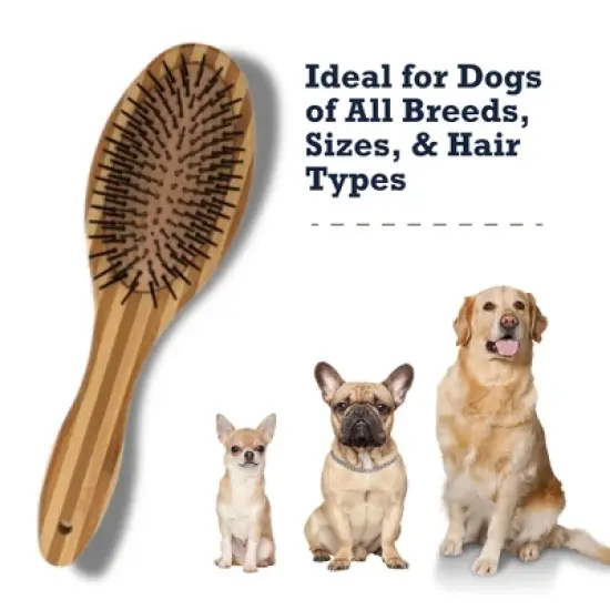 Country Living Dual-Sided Natural Wood Dog Brush - Ergonomic, Durable & Versatile image {6}