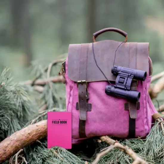 Elan Publishing Company Mini Field Book Set - Line Text / Combo. - COLORS Covers image {4}