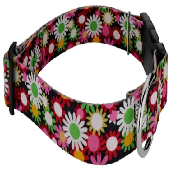 Country Brook Petz 1 1/2 Inch Deluxe Daisy Fields Dog Collar image {2}