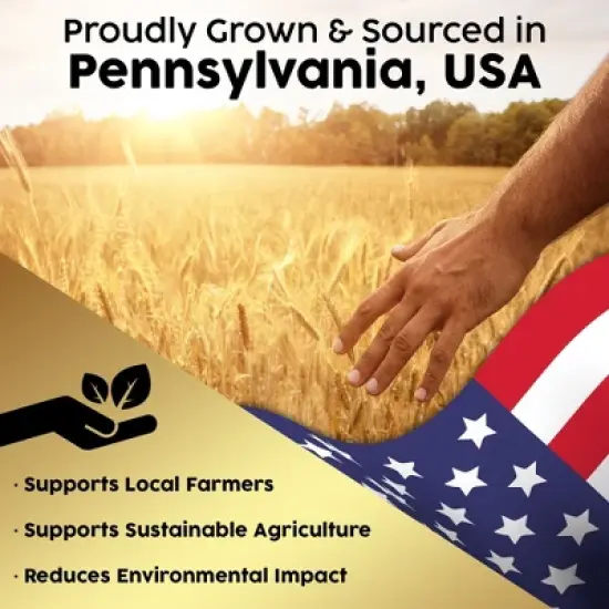 Firewood Central Mini Straw Bale by Morning View Acres &ndash; Natural Wheat Straw for Gardening, Pet Bedding, Seeding & Decor (12"x4"x6", 2lb) image {5}