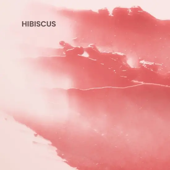 Burt's Bees Tinted Lip Balm - Hibiscus - 0.15oz image {1}