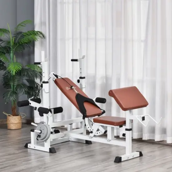 Soozier Multi-Exercise Full-Body Weight Rack with Bench Press, Leg Extension, Chest Fly Resistance Band & Preacher Curl image {2}