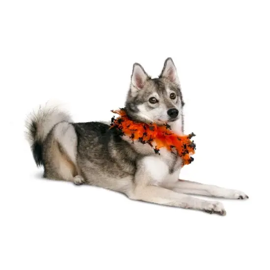 Midlee Witch Halloween Decorative Dog Collar image {5}