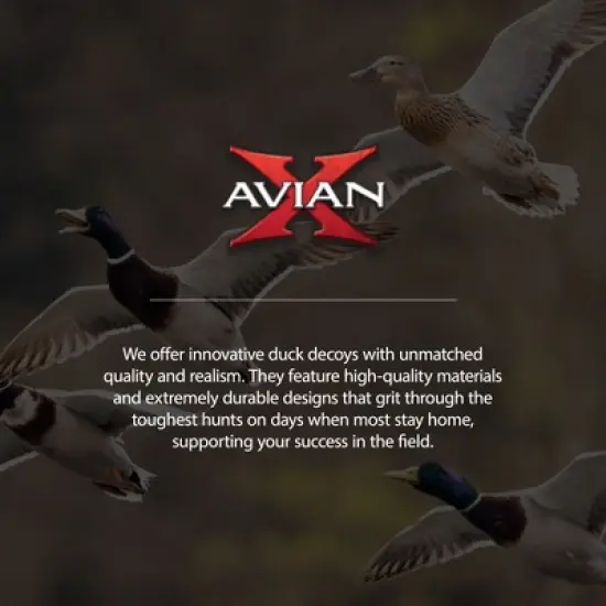 Avian X Topflight Early Season Teal with True to Life Postures and Rugged Design for Hunting Purposes, Outdoor Sports, and Recreation, 18 Pack image {4}
