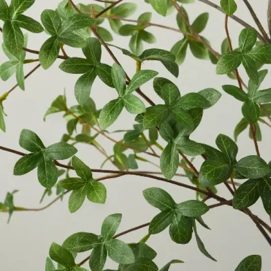 55" Faux Gypsophila Leaf Tree - Hearth & Hand&trade; with Magnolia image {2}