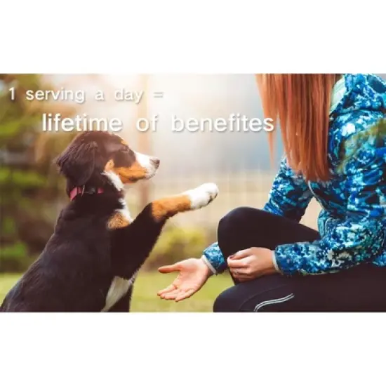 Noora  Health Supplement for Dogs image {11}