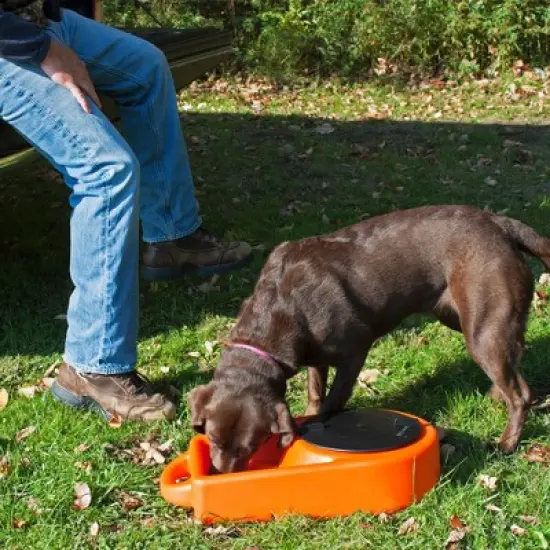 Dakota 283 Dine N Dash Weatherproof Large On-the-Go Travel Feeding and Water Storage System Pet Bowl with 8'' Twist Lid, Orange image {3}
