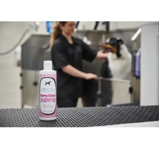 Groomer Essential Berry Clean Shampoo 16oz image {8}