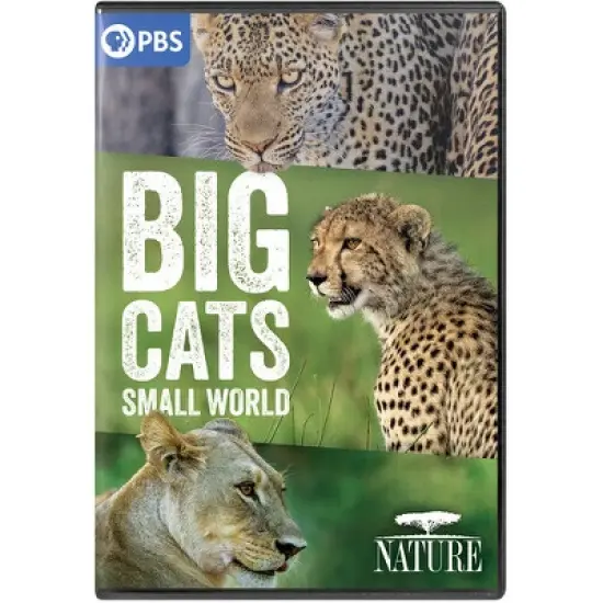 NATURE: Big Cats, Small World (DVD) image {1}
