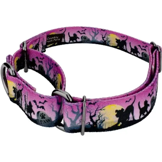 Country Brook Petz Graveyard Gunmetal Martingale Dog Collar (1 Inch, Extra Large) image {1}