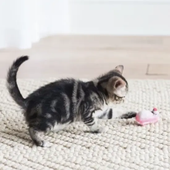 Fat Cat EEEKS Cat Toy with Catnip - Assorted image {3}