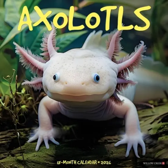 Willow Creek Press 2026 Axolotls Wall Calendar image {5}