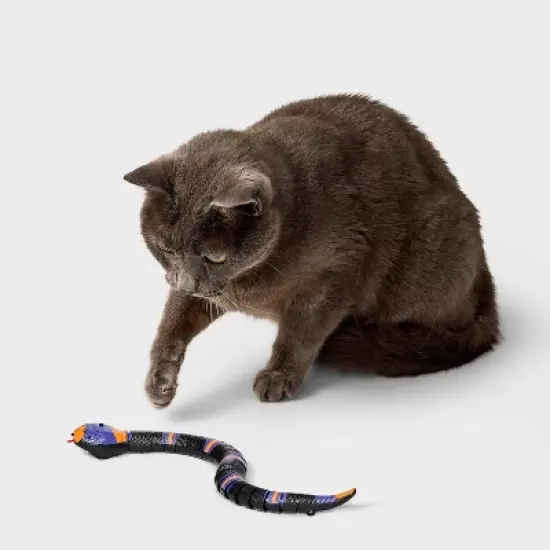 Electronic Snake Cat Mechanical Toy - Boots & Barkley&trade; image {1}