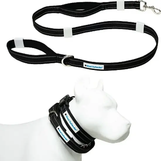 Shed Defender Mag-Snap Dog Leash - Wearable Magnetic Leash - 5 ft. image {6}
