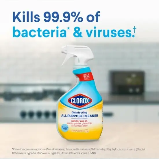 Clorox Lemon All Purpose Liquid Cleaner Refill image {18}