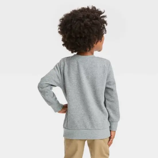 Toddler Boys' Nickelodeon Teenage Mutant Ninja Turtles Pullover Sweatshirt - Gray image {1}